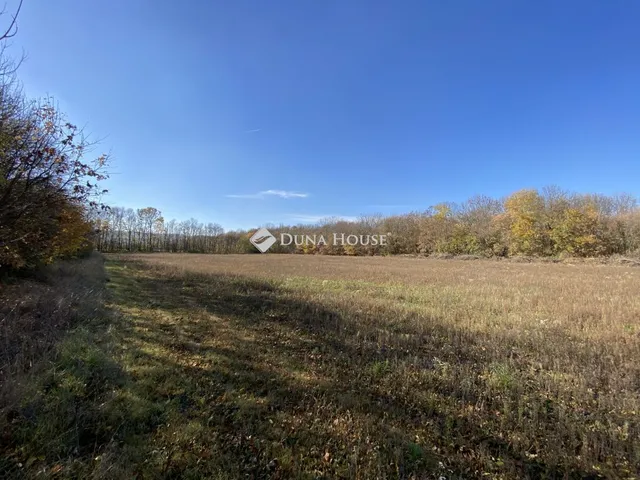 Eladó telek Iszkaszentgyörgy 41592 nm