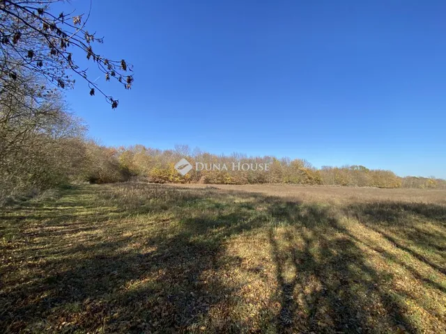 Eladó telek Iszkaszentgyörgy 41592 nm