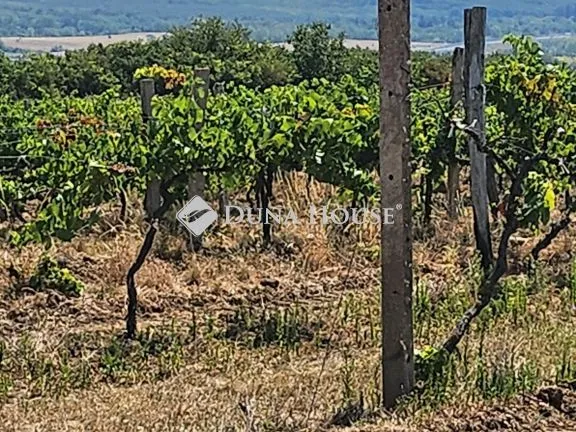 Eladó telek Sopron, Külterület 2924 nm
