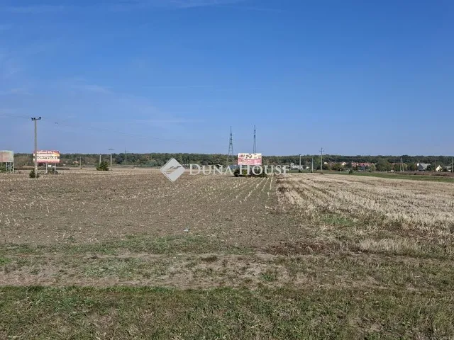 Eladó mezőgazdasági ingatlan Kópháza 1522 nm