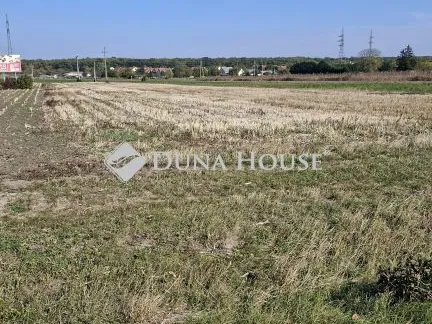 Eladó mezőgazdasági ingatlan Kópháza 1016 nm