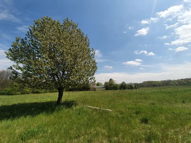 Eladó mezőgazdasági ingatlan Borsosberény