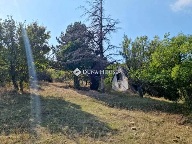 Eladó telek Vászoly, Nincs utca 63828 nm