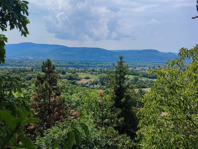 Eladó telek Verőce, Fehérhegyi dűlő 1629 nm