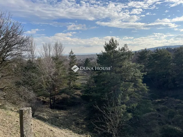 Eladó telek Balatonalmádi 13000 nm