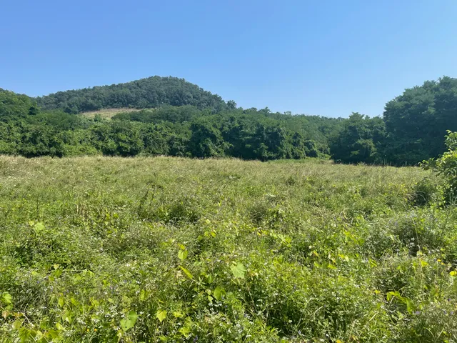 Eladó telek Szigliget, Iharos utca 10000 nm