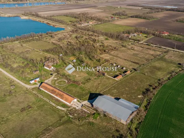 Eladó mezőgazdasági ingatlan Délegyháza 100672 nm