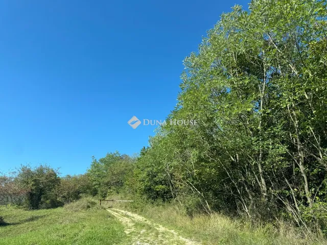 Eladó telek Felsőtárkány, Külterület 255511 nm