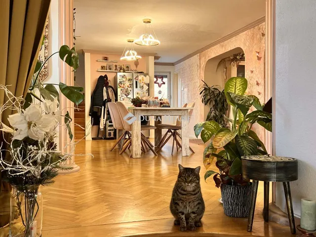 Eladó ház Fót, Lepke utca 330 nm