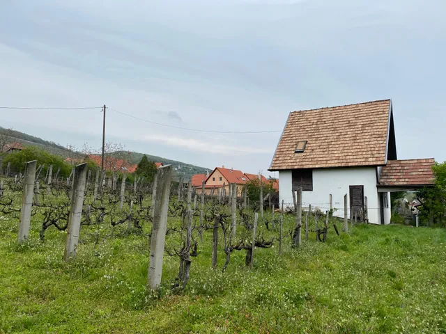 Eladó üdülő és hétvégi ház Pécs 60 nm