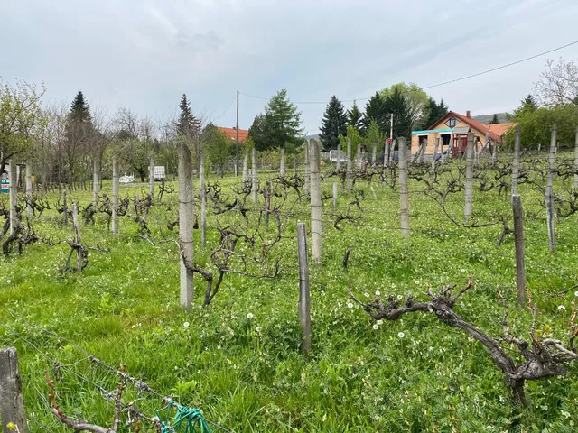 Eladó üdülő és hétvégi ház Pécs 60 nm