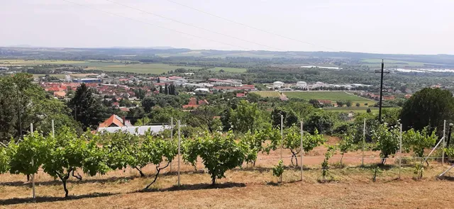 Eladó telek Pécs 739 nm