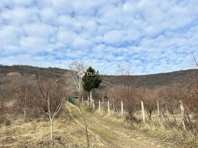 Eladó telek Siklós 3396 nm