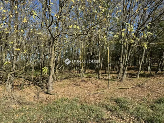 Eladó mezőgazdasági ingatlan Harkány