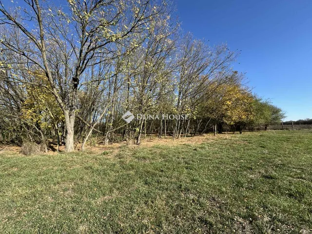 Eladó mezőgazdasági ingatlan Harkány