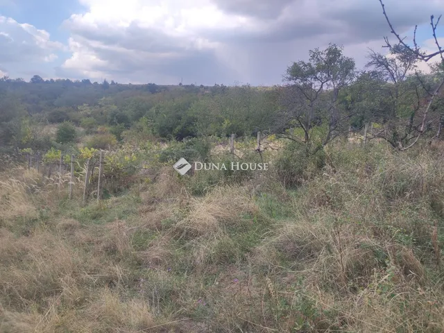 Eladó telek Kővágószőlős, Zártkert 4576 nm