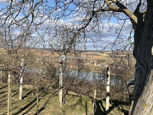 Eladó mezőgazdasági ingatlan Hásságy 50 nm