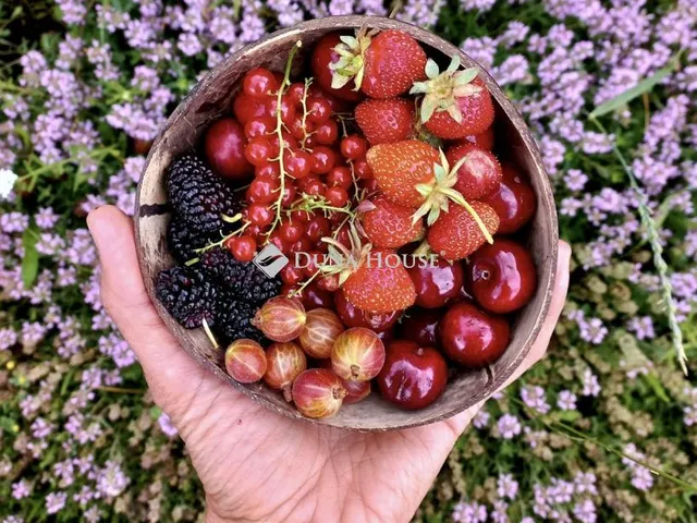 Eladó telek Pécs 5312 nm