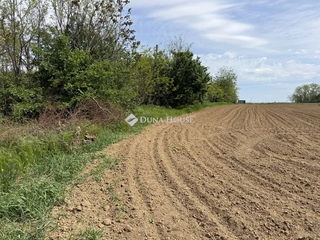 Eladó telek Nagykozár, Kossuth Lajos utca 2450 nm