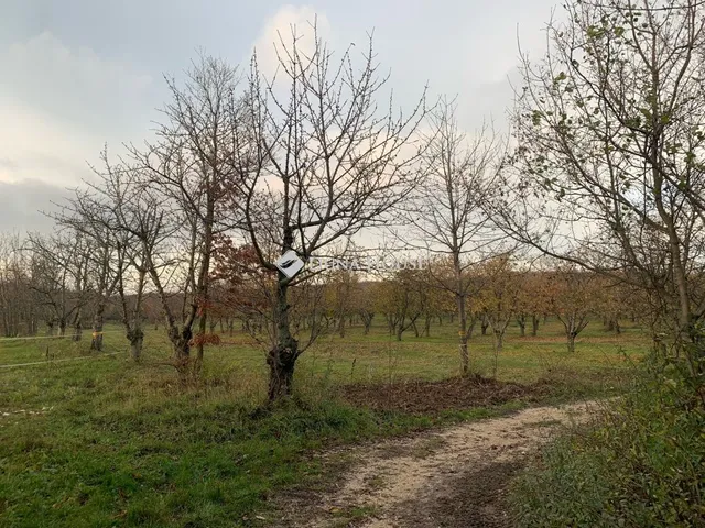 Eladó telek Törökbálint 1483 nm