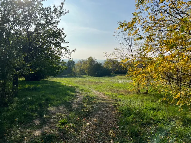 Eladó telek Kajászó 800 nm