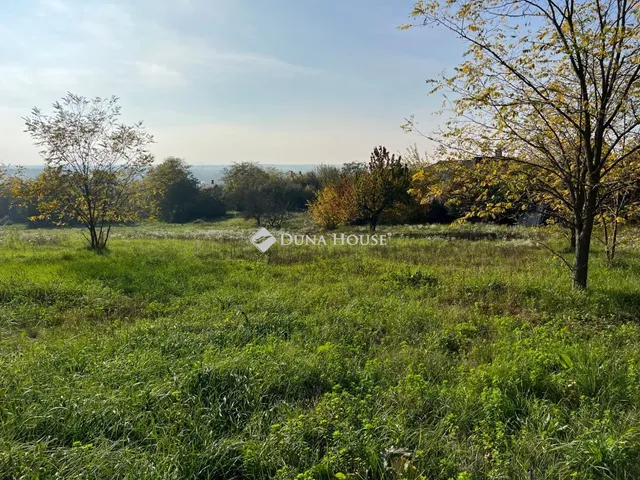 Eladó telek Kajászó 3933 nm