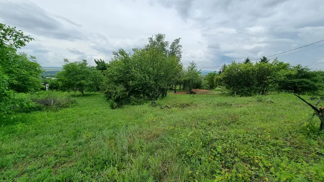 Eladó telek Tök, Somogyi utca 2417 nm