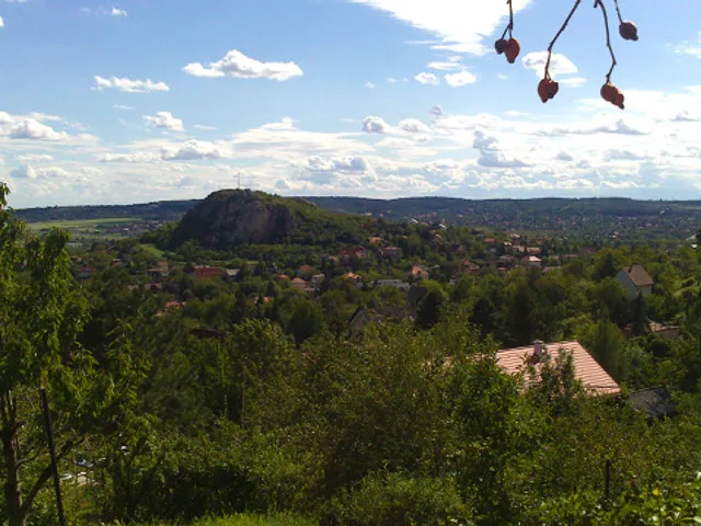 Eladó telek Budaörs 2513 nm