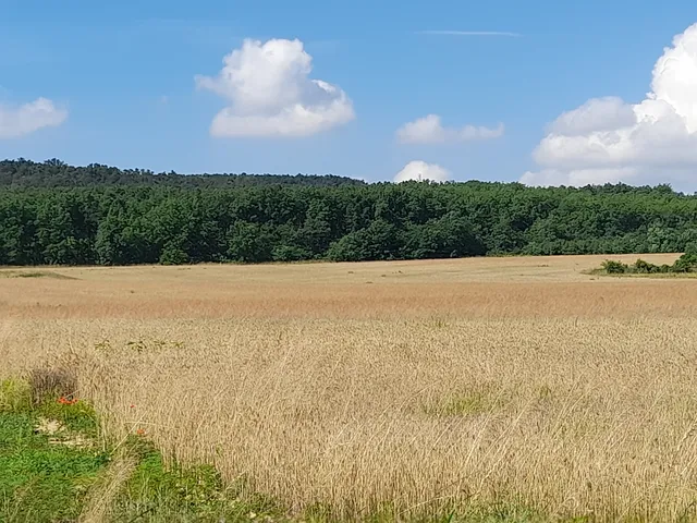 Eladó telek Isaszeg, Ady Endre utca 13937 nm