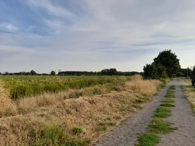 Eladó telek Vácszentlászló 550 nm