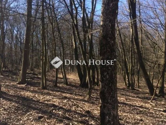 Eladó telek Kismaros, Gólyahír utca 1129 nm