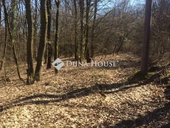 Eladó telek Kismaros, Gólyahír utca 1129 nm