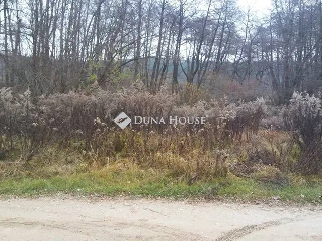 Eladó telek Domony 13626 nm