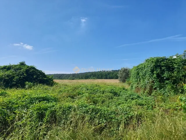 Eladó telek Isaszeg, Ady Endre utca 20000 nm