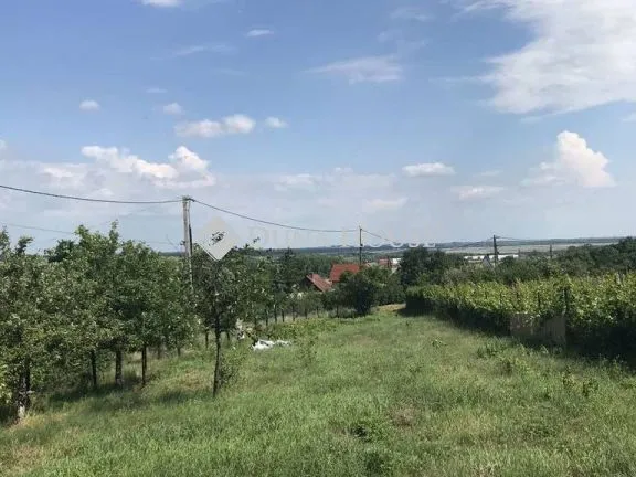 Eladó telek Pákozd 783 nm