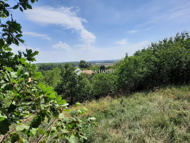 Eladó telek Pákozd, Szeder utca 2951 nm