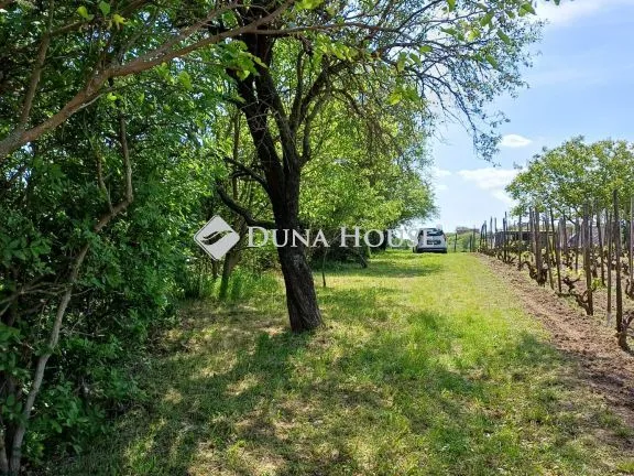 Eladó telek Pázmánd 2330 nm
