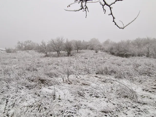 Eladó telek Pákozd 1324 nm