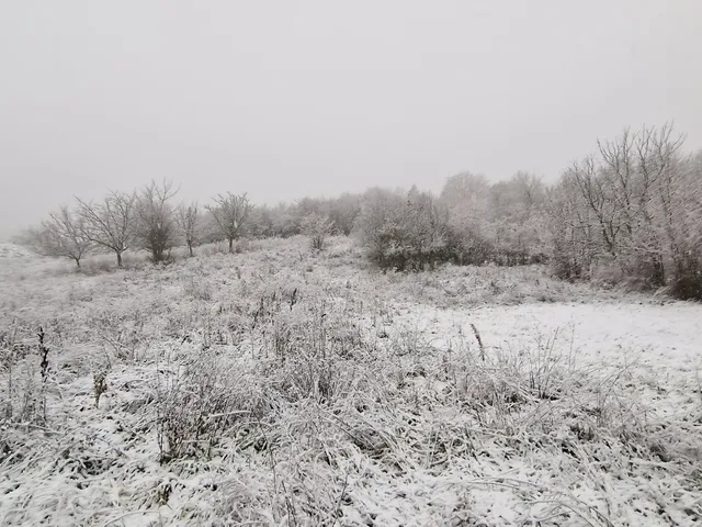 Eladó telek Pákozd 1324 nm