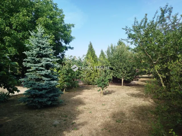 Eladó telek Csákvár 1035 nm