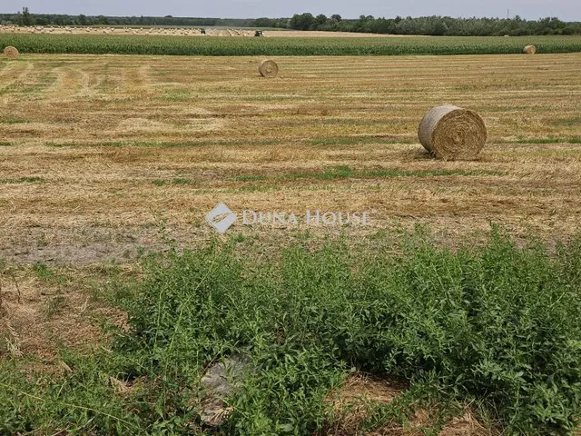 Eladó telek Iváncsa 1360 nm