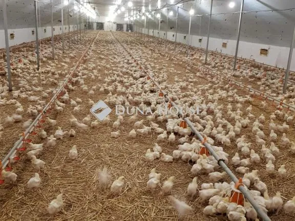 Eladó mezőgazdasági ingatlan Mátyásdomb 2700 nm