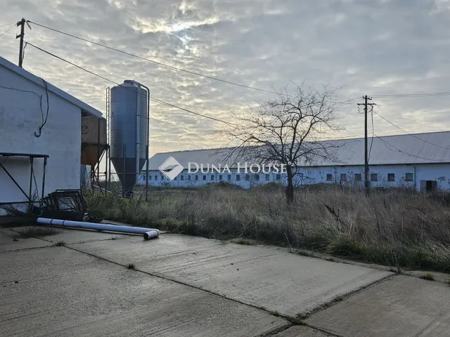 Eladó mezőgazdasági ingatlan Mátyásdomb 2700 nm