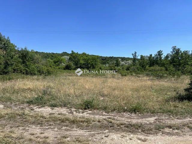 Eladó telek Csór, Zártkert 5101 nm