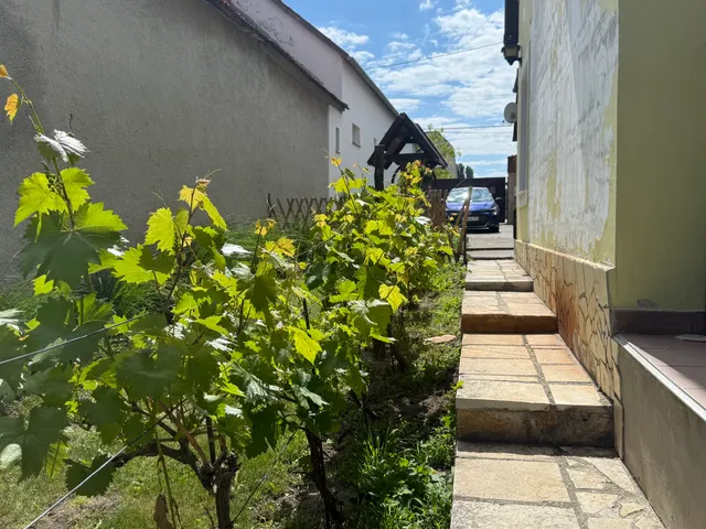 Eladó ház Fertőhomok 215 nm