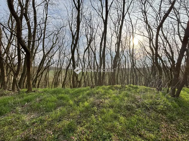 Eladó telek Sárvár, Sótonyi utca 868 nm