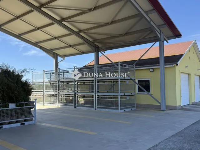 Eladó mezőgazdasági ingatlan Balogunyom 64619 nm