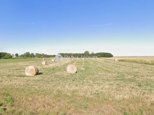 Eladó mezőgazdasági ingatlan Kiscsősz 13696 nm