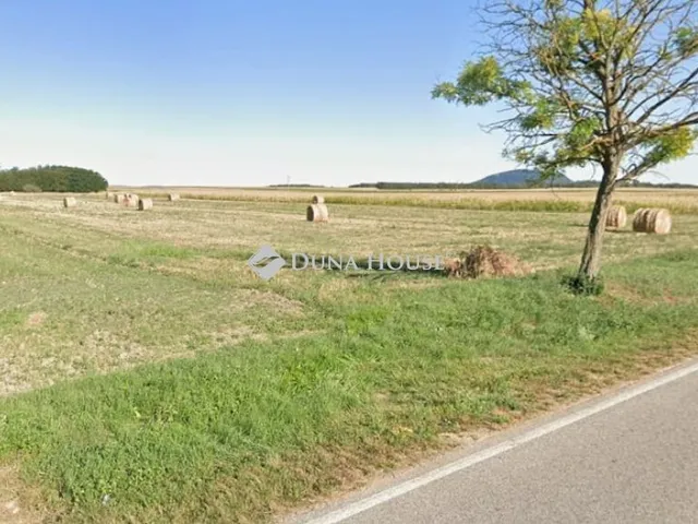 Eladó mezőgazdasági ingatlan Kiscsősz 13696 nm