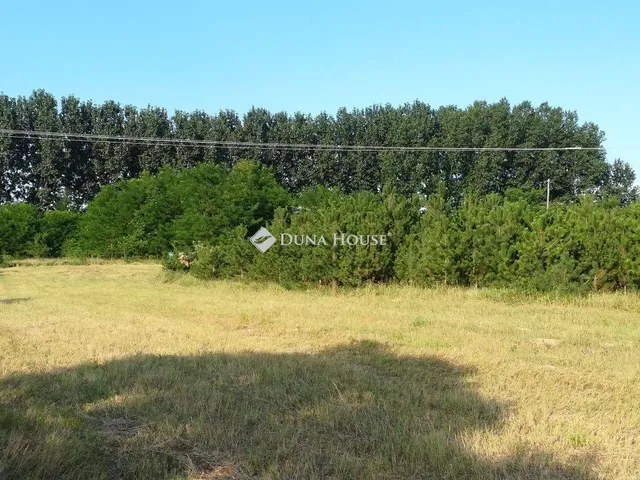 Eladó mezőgazdasági ingatlan Tiszaalpár 100 nm